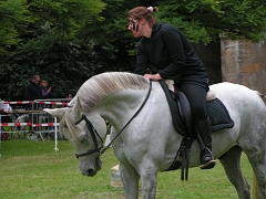 REMPARTS LONGWY 2008 227